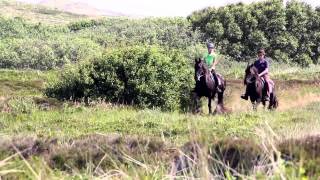 Puur Terschelling [upl. by Eiger]