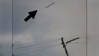 Flying snake spotted in Tamil Nadus Coimbatore [upl. by Dabbs]