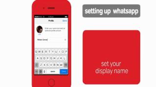 How to use WhatsApp on your smartphone [upl. by Cyd]