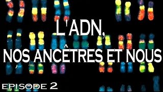 2  LADN nos ancêtres et nous [upl. by Smada]