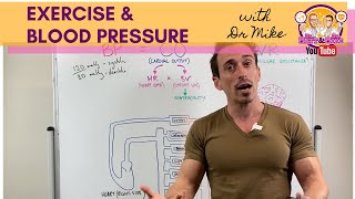 Exercise amp Blood Pressure [upl. by Asserac]