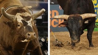 Headtohead Bushwacker vs Asteroid PBR [upl. by Ariait]