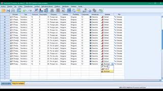 Alfa de Cronbach en SPSS [upl. by Assirroc]