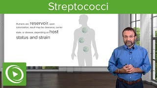 Streptococci – Microbiology  Lecturio [upl. by Adnahs]