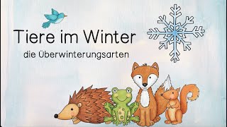 Tiere im Winter  Überwinterungsstrategien  Winterschlaf Winterruhe Winterstarre Winterflucht [upl. by Antipus]