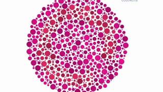 Colorlite tritan color blindness test  wwwcolorlitelenscom [upl. by Jenkel]