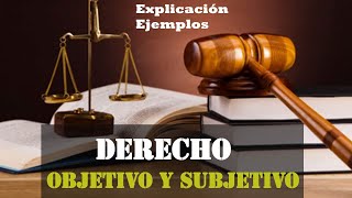 Derecho Objetivo y Subjetivo explicación y ejemplos [upl. by Alyat245]