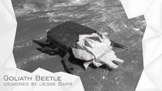 Origami Goliath Beetle by Jesse Barr TUTORIAL Collapsing [upl. by Tewell]