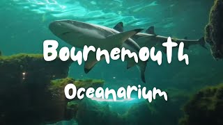 Bournemouth Oceanarium Visit [upl. by Felicity35]