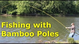 Fishing with 30 bamboo poles  pole fishing for carp [upl. by Vtehsta848]