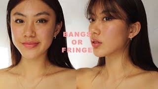 HOW I CUT FRINGE  BANGS  Haley Kim [upl. by Ahsenak]