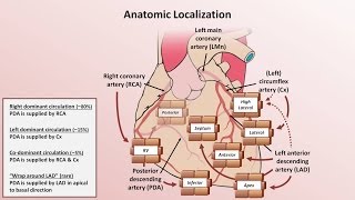 IVPIVU Intravenous UrographyPyelography BASICS OF RADIOGRAPH EXPLAINED [upl. by Schinica]