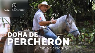 ⚡ Doma de potro PERCHERÓN 🐴  Pablo Saldarriaga [upl. by Iain67]