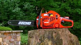 ECHO CS 310 Gas Chainsaw Overview [upl. by Mok435]