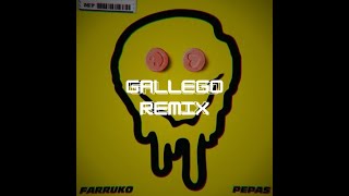 Farruko  Pepas GALLEGO Remix [upl. by Rafaela878]