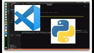 How to Set Up Visual Studio Code for Python on NVIDIA Jetson [upl. by Kinson]