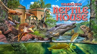 Zoo Tours A Positively WEIRD Reptile House  Toledo Zoo [upl. by Oninrutas]