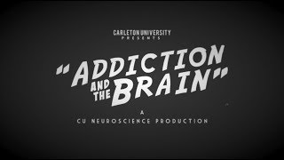 Neuroscience  Addiction and the Brain [upl. by Anella]