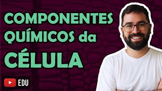 Componentes Químicos da Célula Bioquímica  LINK PARA A AULA NOVA NA DESCRIÇÃO [upl. by Mohamed166]