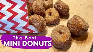 Homemade Mini Donuts Recipe just like the ones at the FAIR [upl. by Kcired563]