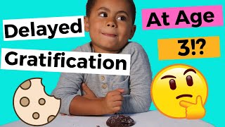 Delayed Gratification  Experiment Can A Toddler Delay Gratification [upl. by Caylor]