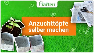 Anzuchttöpfe aus Zeitungspapier selber machen  Nachhaltige Gartenpraxis [upl. by Castorina]