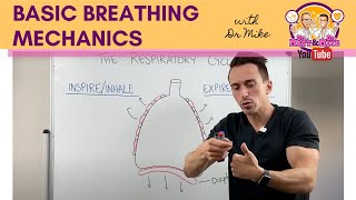 Basic Breathing Mechanics [upl. by Eneryt]