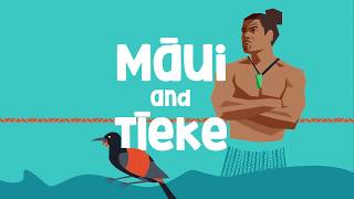 The pūrākau legend of Māui and Tīeke [upl. by Fawne]