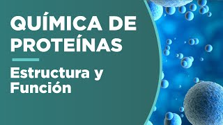 Estructura y función de PROTEÍNAS  Química [upl. by York761]