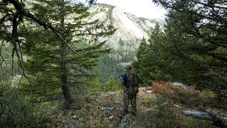 How to Find the Best Elk Hunting Areas [upl. by Garrick18]