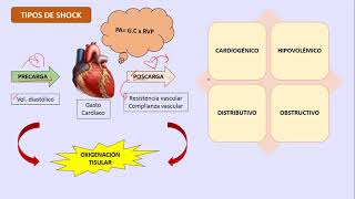 Fisiopatología del Shock  USMP [upl. by Eamon]