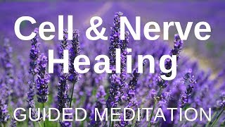 Guided HEAL Meditation  Cell and Nerve Healing Self Healing Meditation [upl. by Bell]