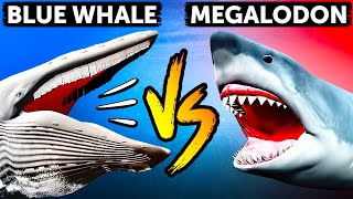 Megalodon vs Blue Whale Whos the Sea Giant [upl. by Anilram58]