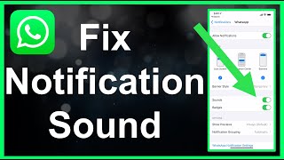 How To Fix WhatsApp Notification Sound EASY [upl. by Stoddard]