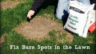 How To Seed And Repair Bare Spots in the Lawn [upl. by Nahsed]