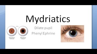 Ophthalmology 580 Mydriatic Dilate Pupil PhenylEphrine Tropicamide Mydriasis Eye drop fundoscopy [upl. by Arnst]