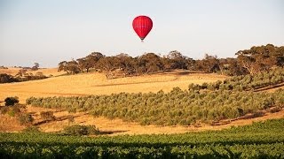 Luxury Wine amp Fine Dining in the Barossa Valley [upl. by Lovell]