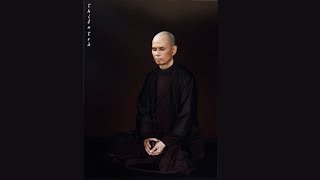 Sitting with the Buddha  Guided Meditation by Thich Nhat Hanh [upl. by Placido]