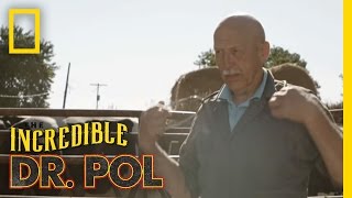 Official Trailer   The Incredible Dr Pol [upl. by Sik]