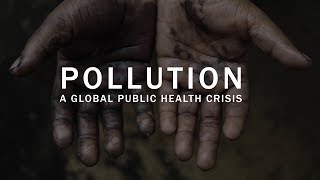 Pollution a global public health crisis [upl. by Sillsby]