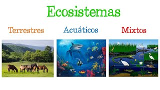 🌎 Los ECOSISTEMAS y sus TIPOS 🐝 Fácil y Rápido  BIOLOGÍA [upl. by Toni]