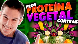 PROTEÍNA VEGETAL ✅ Pros ❌ Contras 🧆 Mejores Fuentes [upl. by Kendyl]