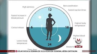 ¿Qué es el reloj biológico [upl. by Lad]