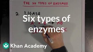 Six types of enzymes  Chemical Processes  MCAT  Khan Academy [upl. by Enattirb]