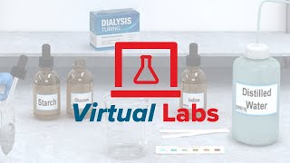 McGraw Hill Virtual Labs® Overview [upl. by Yldarb]