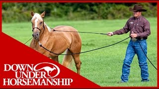 Clinton Anderson Training a Rescue Horse Part 1  Downunder Horsemanship [upl. by Ilan]