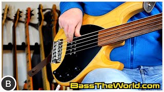 MUSIC MAN STINGRAY 5 FRETLESS BASS [upl. by Nailil387]