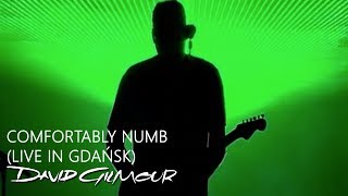 David Gilmour  Comfortably Numb Live In Gdańsk [upl. by Adnahsor199]