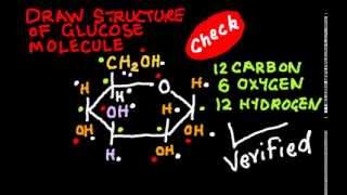 Learn to draw the structure of Glucose Molecule [upl. by Clarabelle]