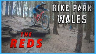 Bike Park Wales  The RED Mtb Trails [upl. by Uokes]